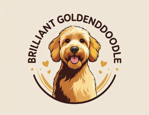 Brilliant Goldendoodle Kennel